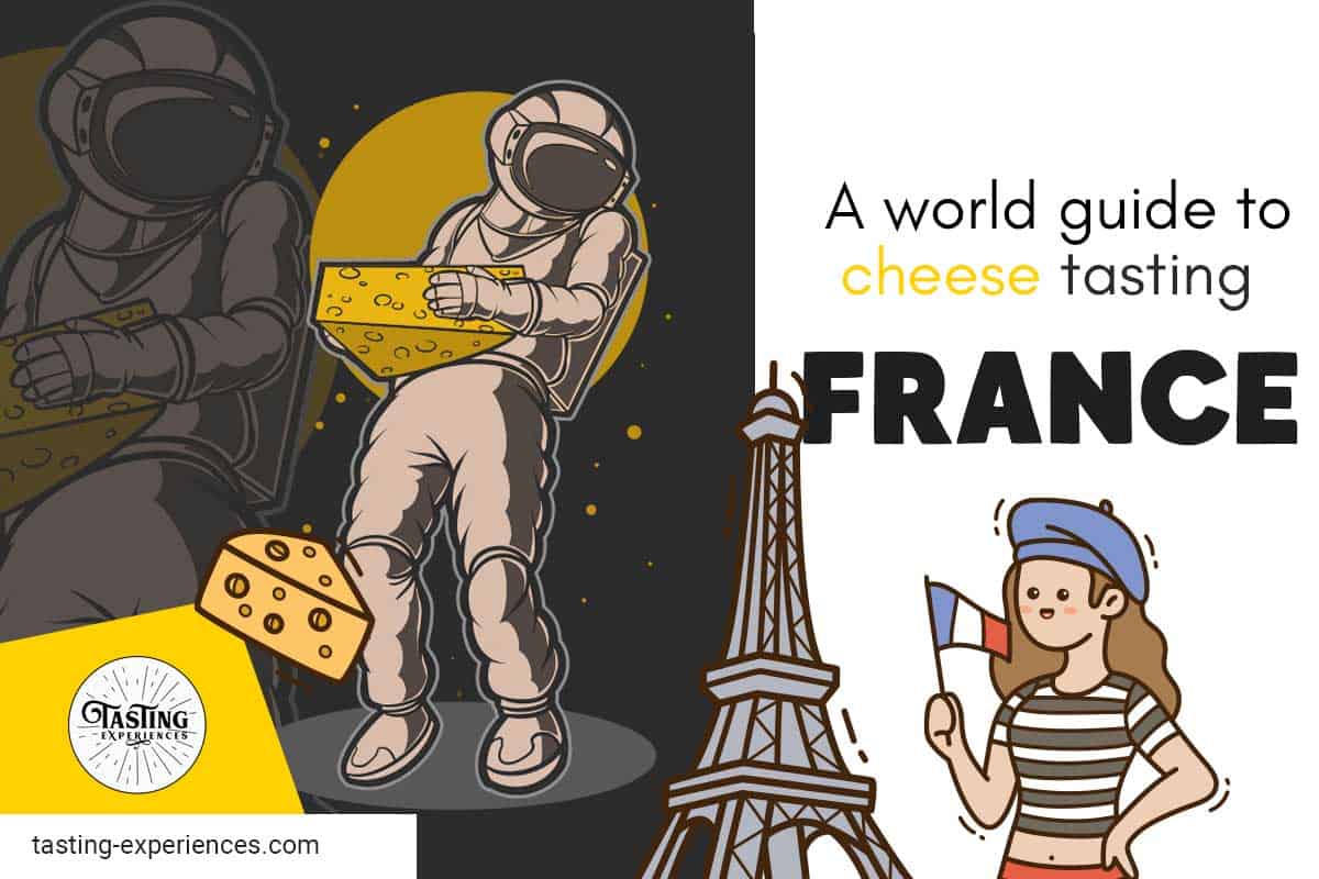beginner cheese tasting guide to france